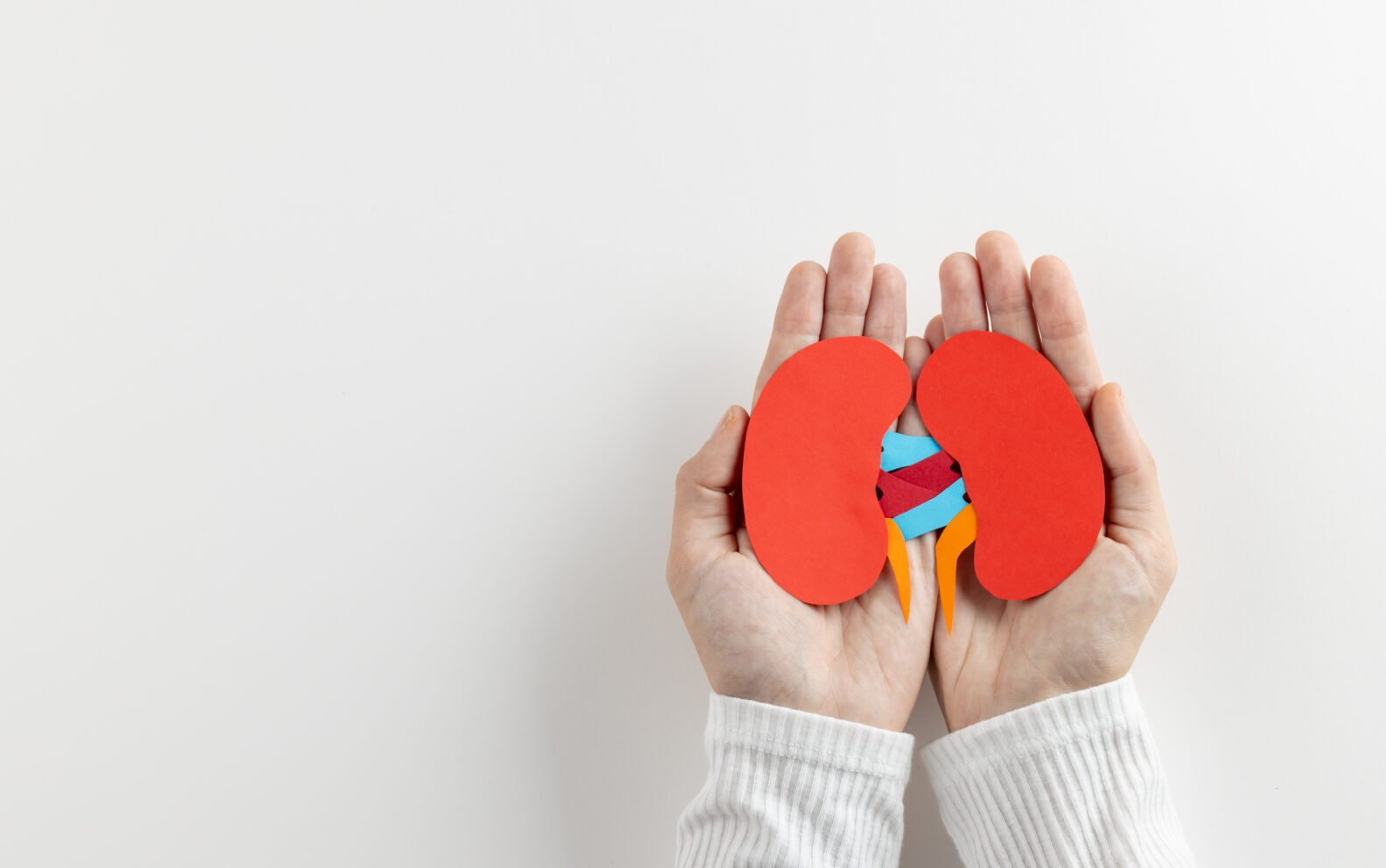 kidney health course for wellness and prevention
