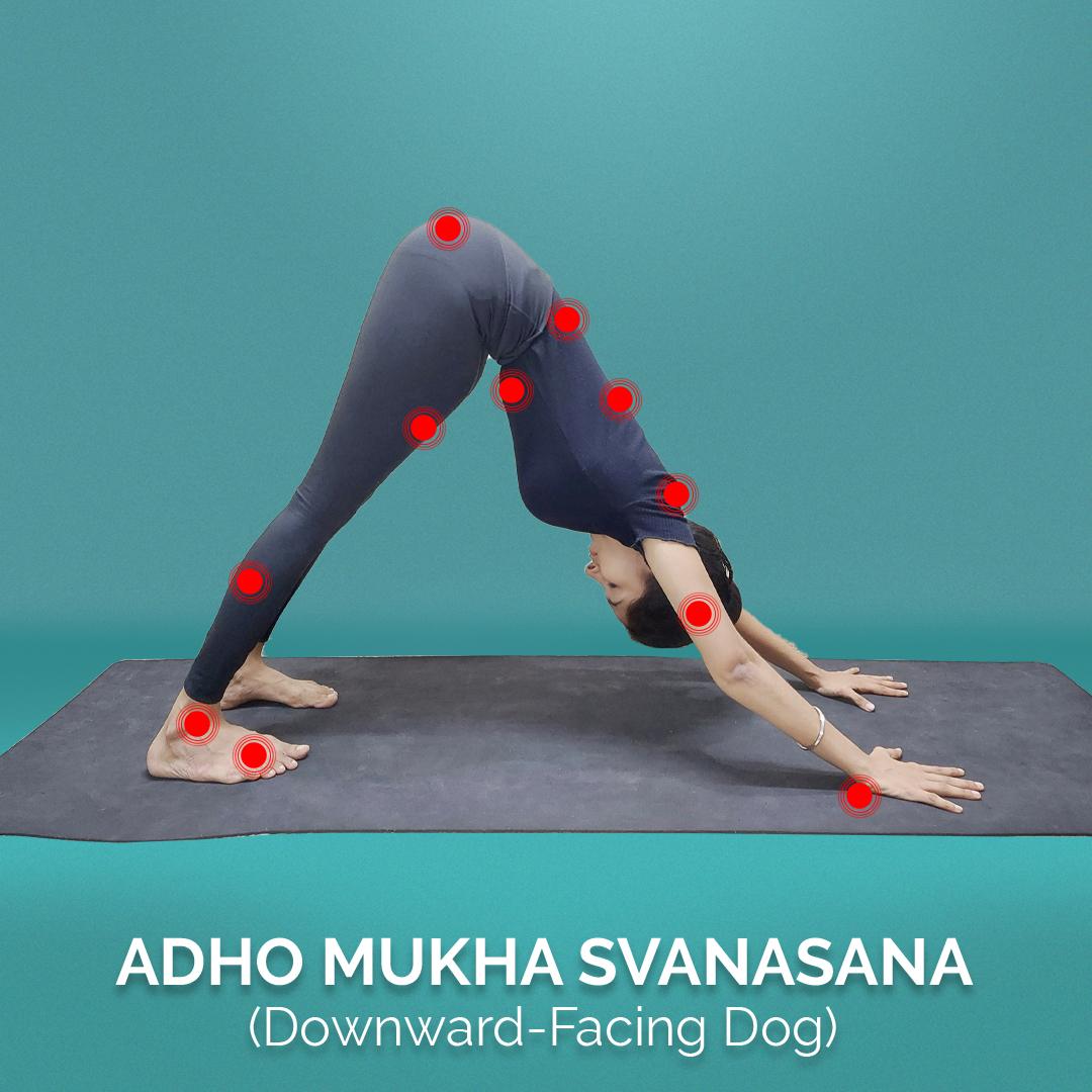 yoga-postures