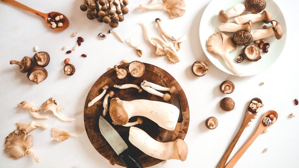 mushrooms-health-benefits-recipe|mushrooms-health-benefits-recipe|mushrooms-health-benefits-recipe