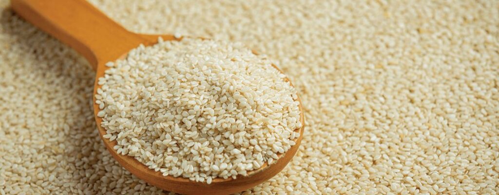 sesame seeds nutritional information and hair oil benefits|sesame seeds benefits|sesame seeds benefits|sesame seeds benefits