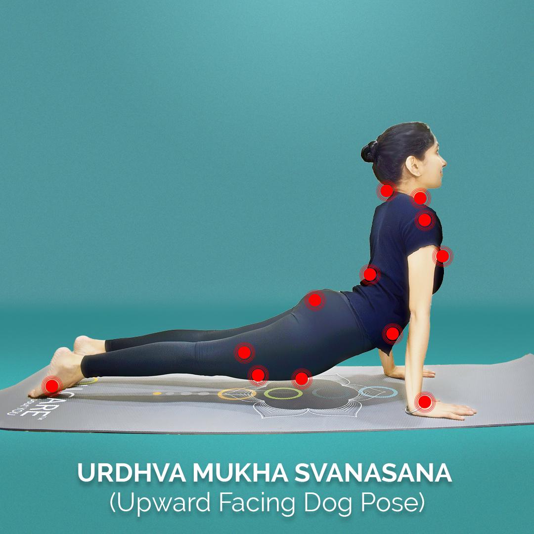 yoga-postures