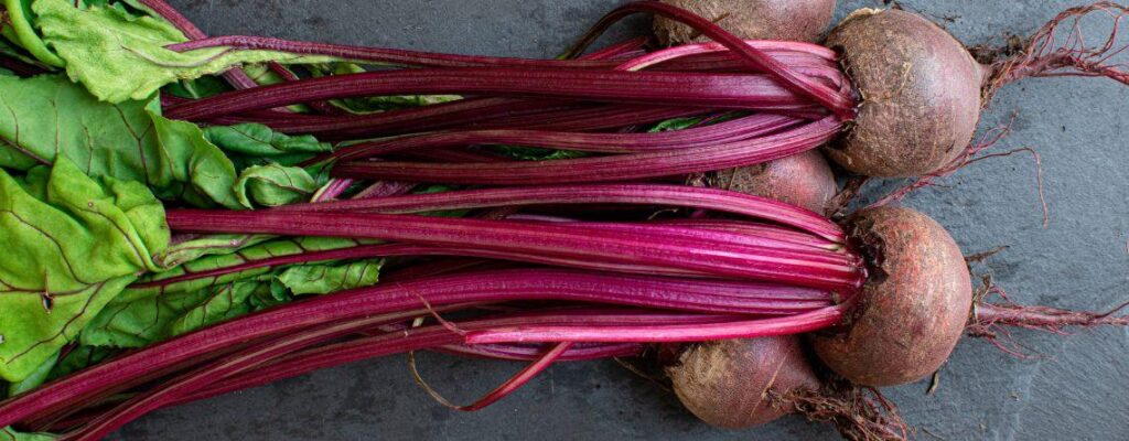 beetroot benefits-2|