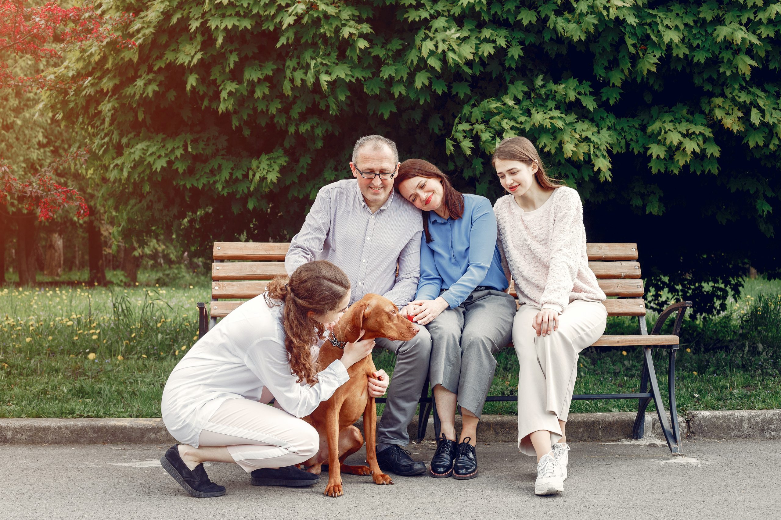 healthy nutrition food and daily healthy habits for seniors