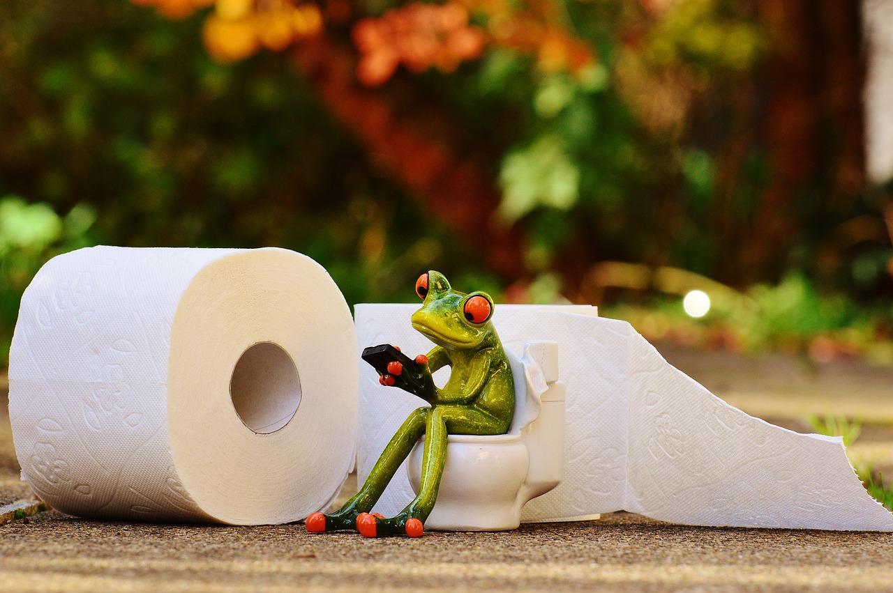 natural remedies for constipation