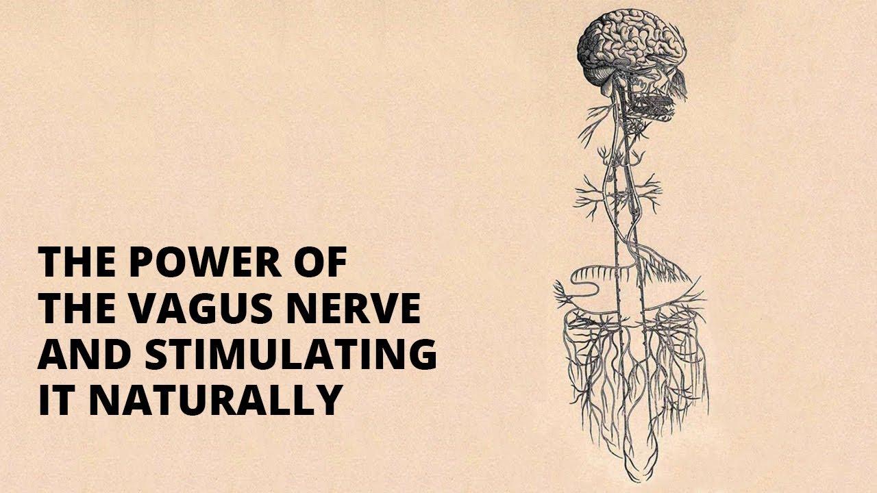 how to stimulate the vagus nerve