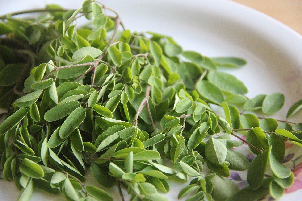 moringa-superfood-benefits