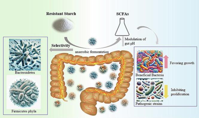 ulcerative colitis foods